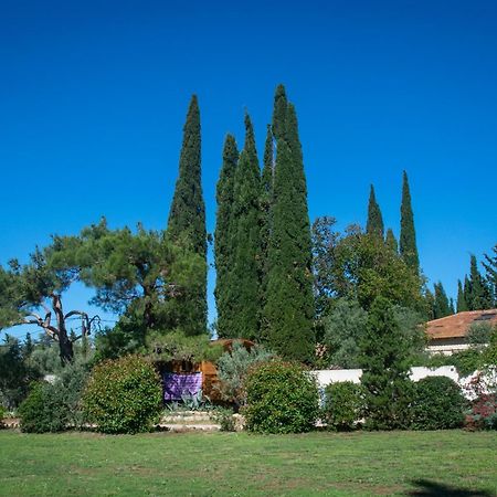 Vintage Provence Hotell Arles Rom bilde
